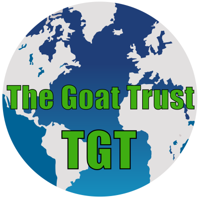 tgt logo